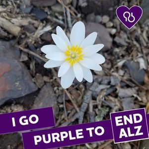 Meet your Posher, Kelli